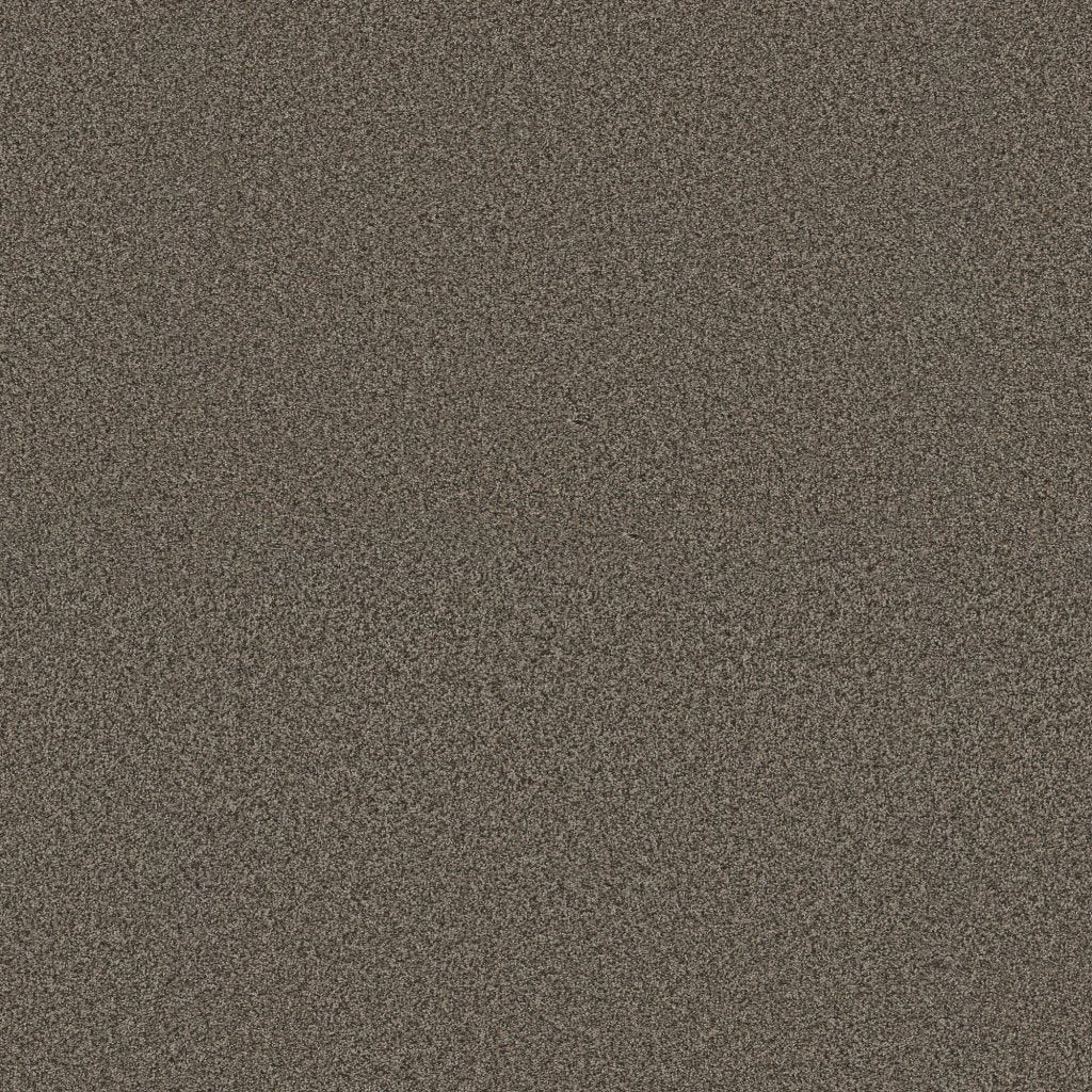 Worldwide Flooring Design Center SIGNATURE SIGNATURE Anderson Tuftex Floors