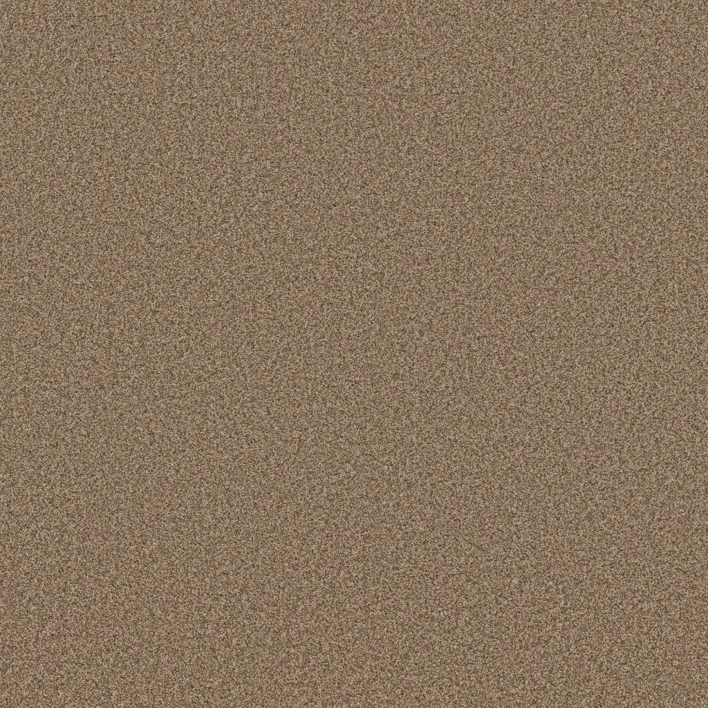 Worldwide Flooring Design Center SIGNATURE SIGNATURE Anderson Tuftex Floors