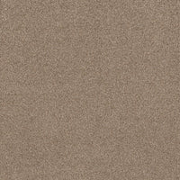 Worldwide Flooring Design Center COPA CABANA COPA CABANA Anderson Tuftex Floors