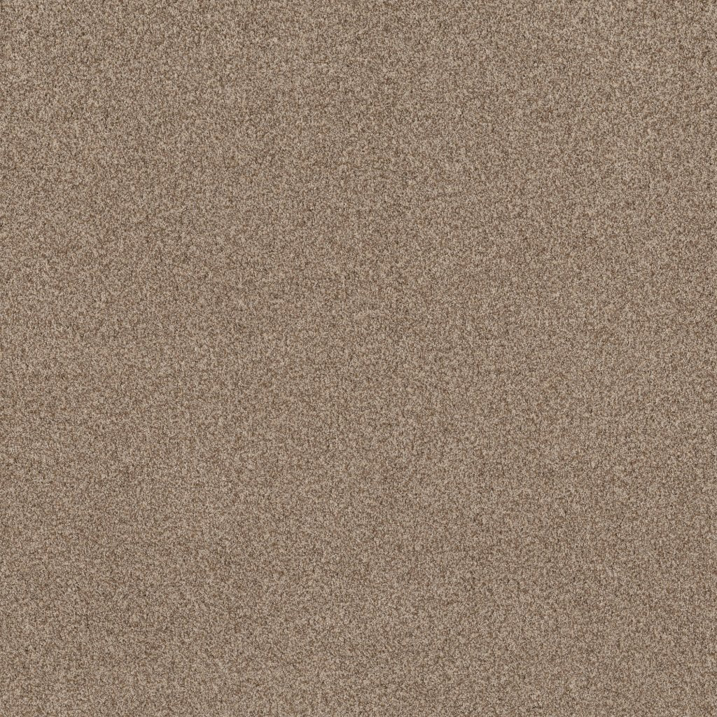 Worldwide Flooring Design Center COPA CABANA COPA CABANA Anderson Tuftex Floors