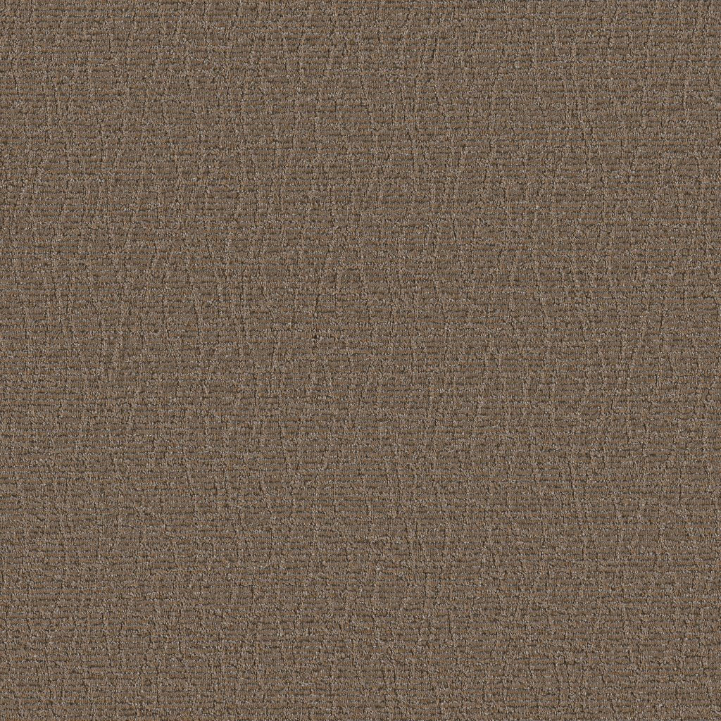 Worldwide Flooring Design Center SMALL TALK SMALL TALK Anderson Tuftex Floors