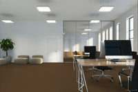 Worldwide Flooring Design Center BEWITCHED BEWITCHED Anderson Tuftex Floors