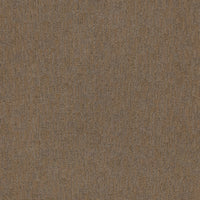 Worldwide Flooring Design Center SECRET LOOK SECRET LOOK Anderson Tuftex Floors