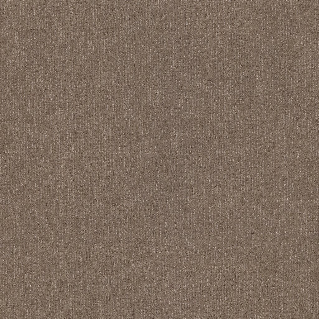 Worldwide Flooring Design Center SECRET LOOK SECRET LOOK Anderson Tuftex Floors