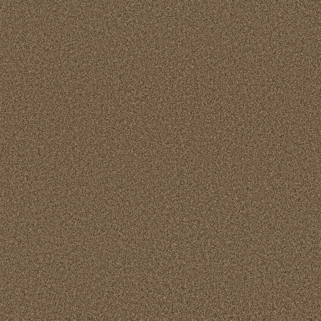 Worldwide Flooring Design Center SIGNATURE SIGNATURE Anderson Tuftex Floors