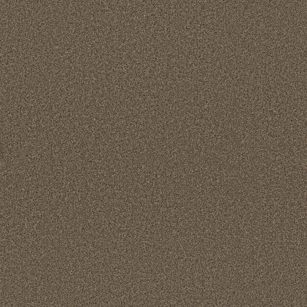 Worldwide Flooring Design Center EL DORADO EL DORADO Anderson Tuftex Floors