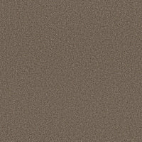 Worldwide Flooring Design Center SIGNATURE SIGNATURE Anderson Tuftex Floors