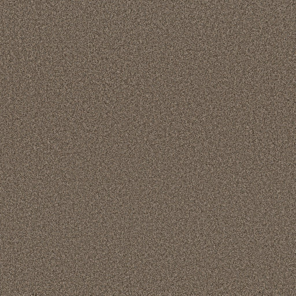 Worldwide Flooring Design Center SIGNATURE SIGNATURE Anderson Tuftex Floors