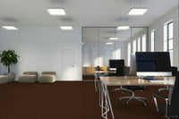 Worldwide Flooring Design Center BEWITCHED BEWITCHED Anderson Tuftex Floors