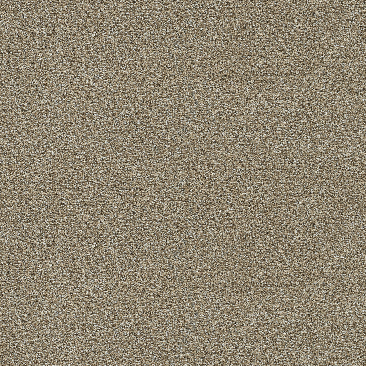 Worldwide Flooring Design Center Grand Slam II Grand Slam II DreamWeaver 