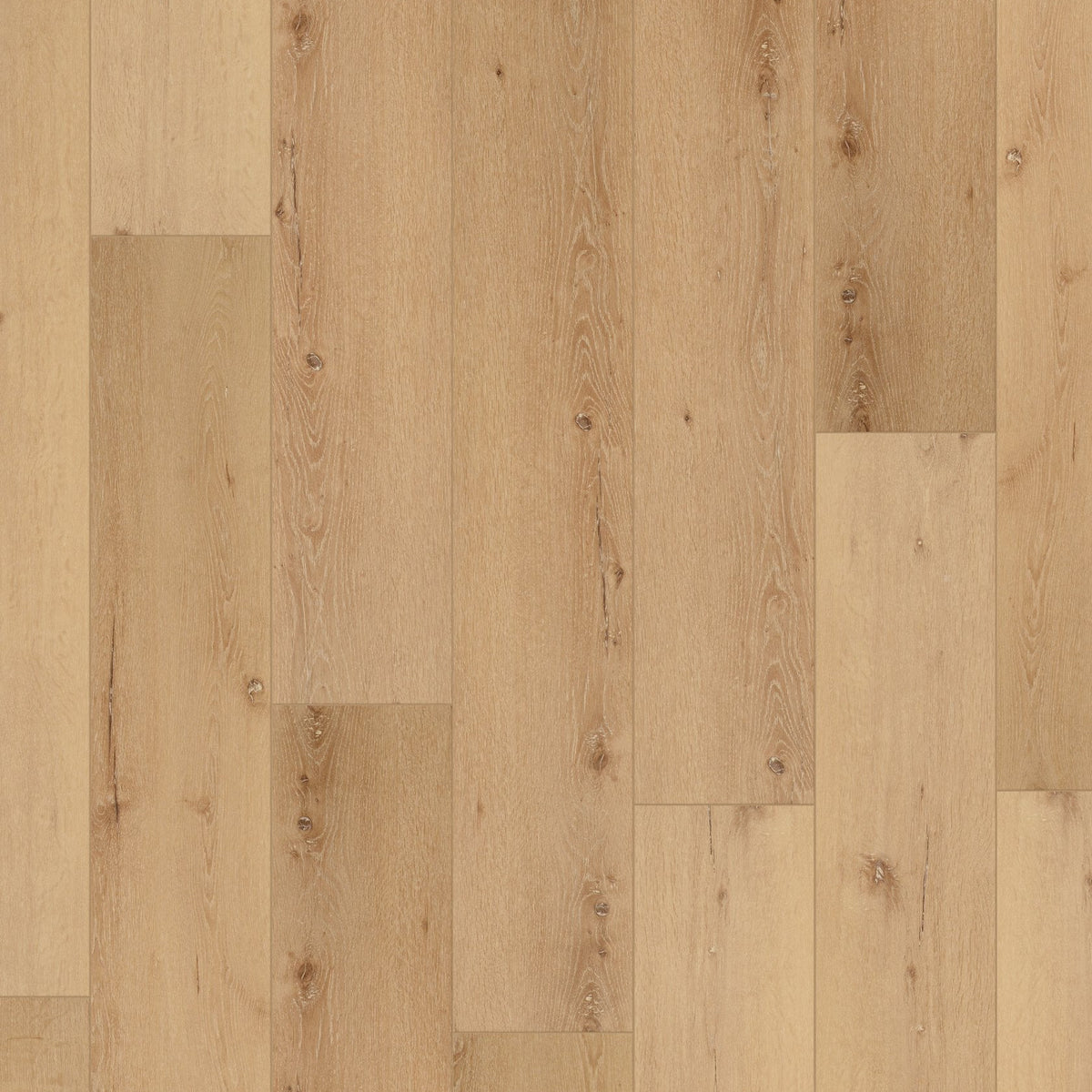 RC PLATINUM - KORO OAK