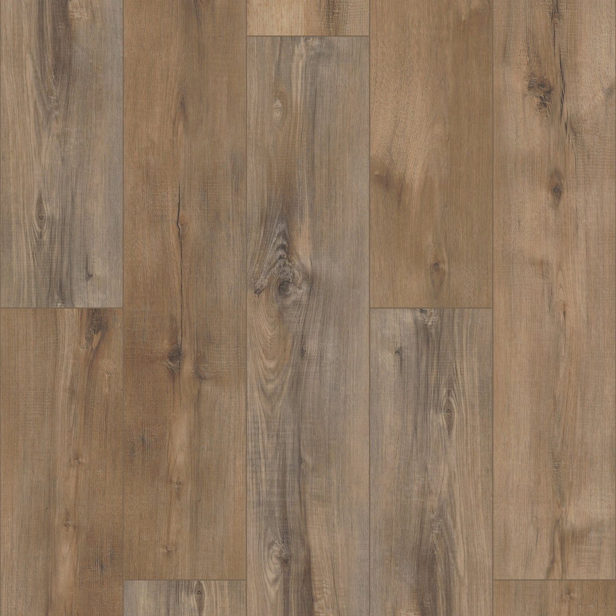 RC PLATINUM - PAGAN OAK