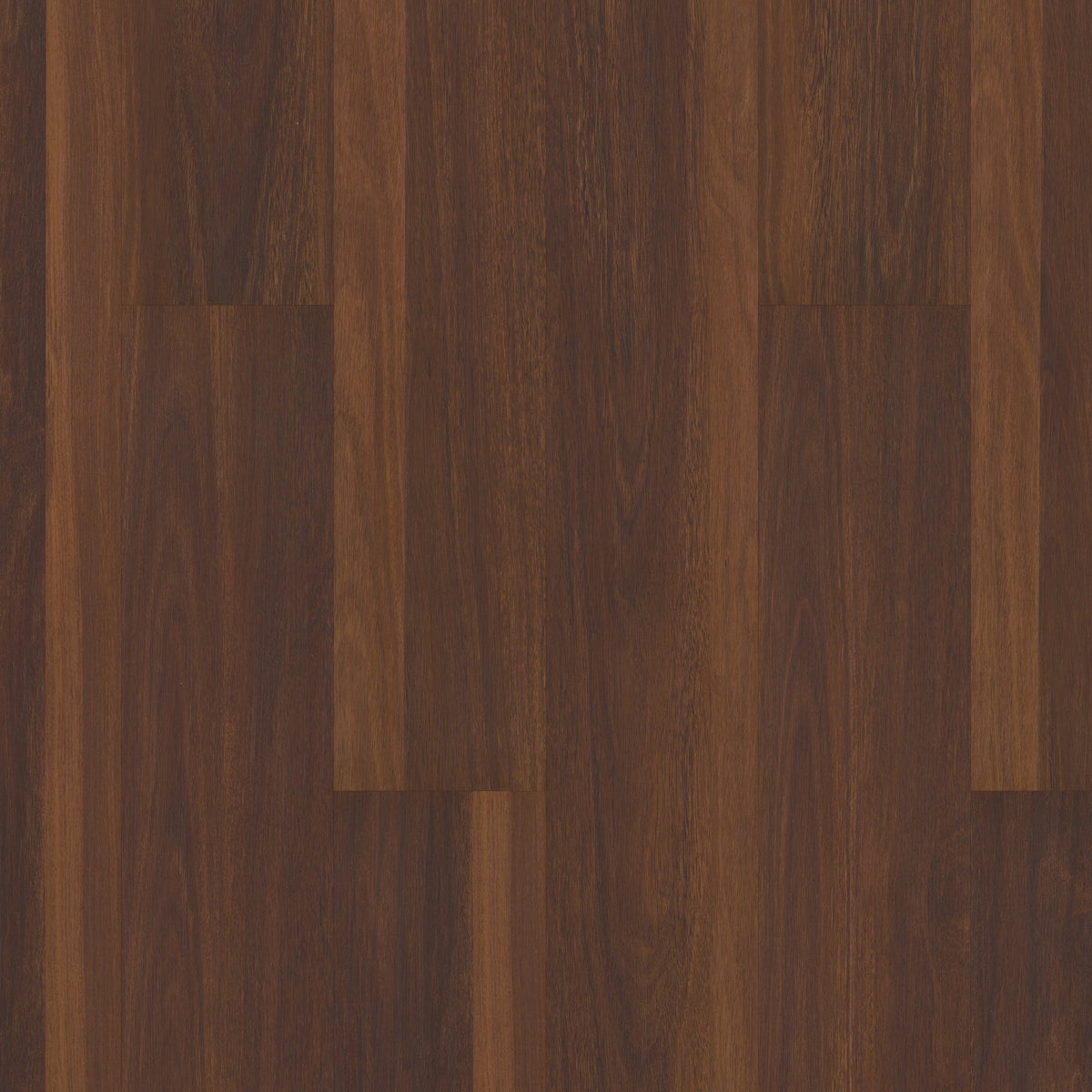 RC GOLD - KARS OAK