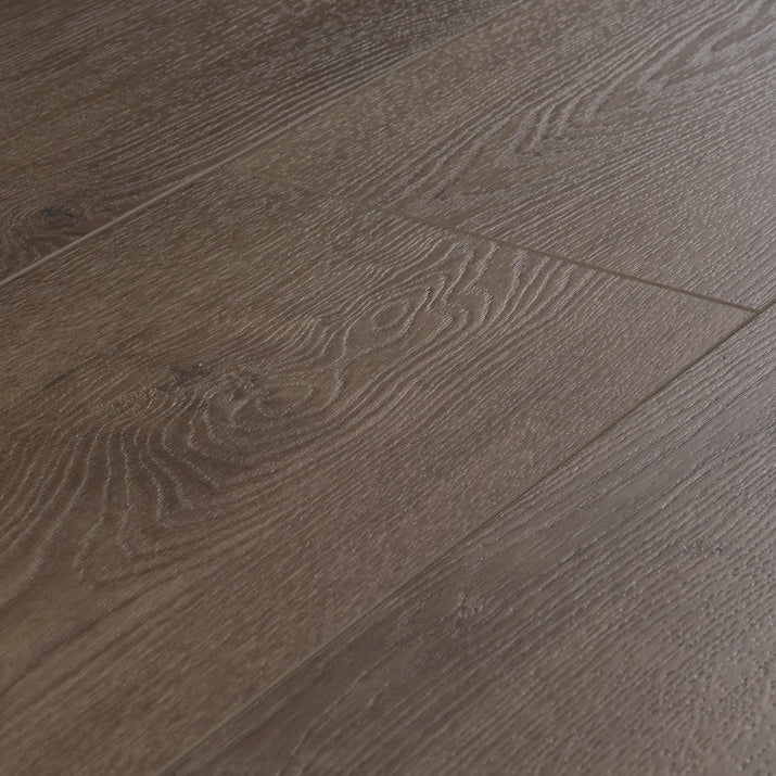 Coffee Oak