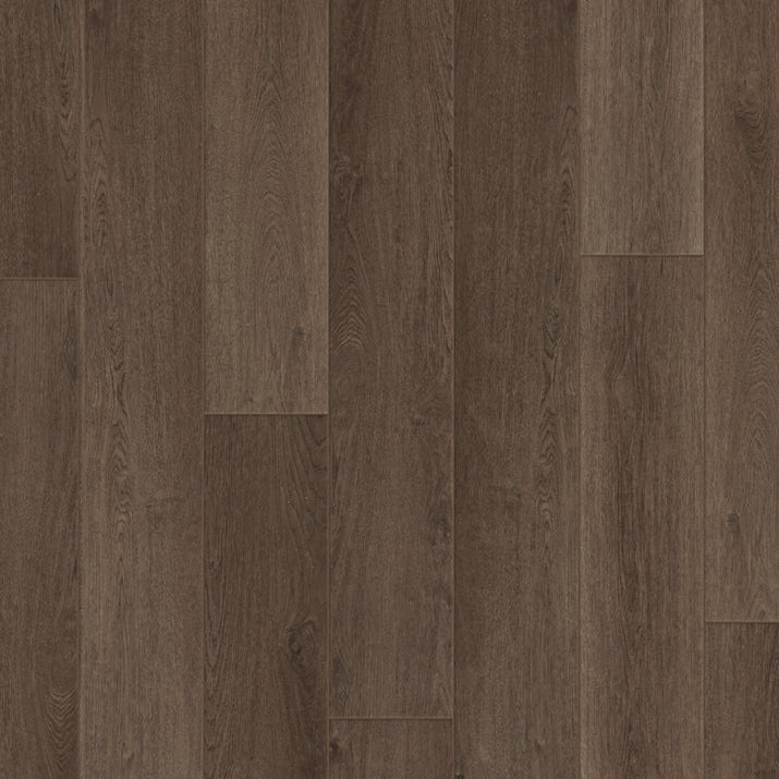 Coffee Oak