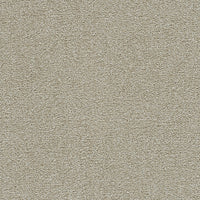 Worldwide Flooring Design Center Grand Slam II Grand Slam II DreamWeaver 