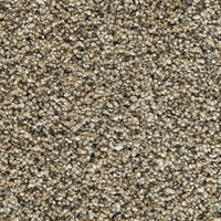 Pet Premier Tweeds