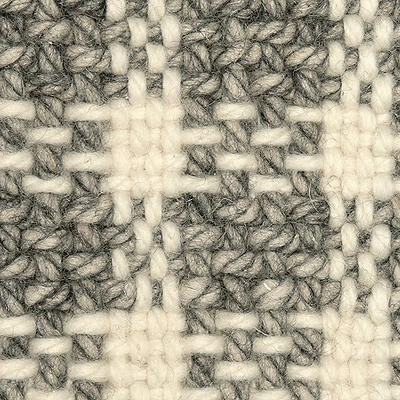Volute