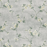 CHERRY BLOSSOM