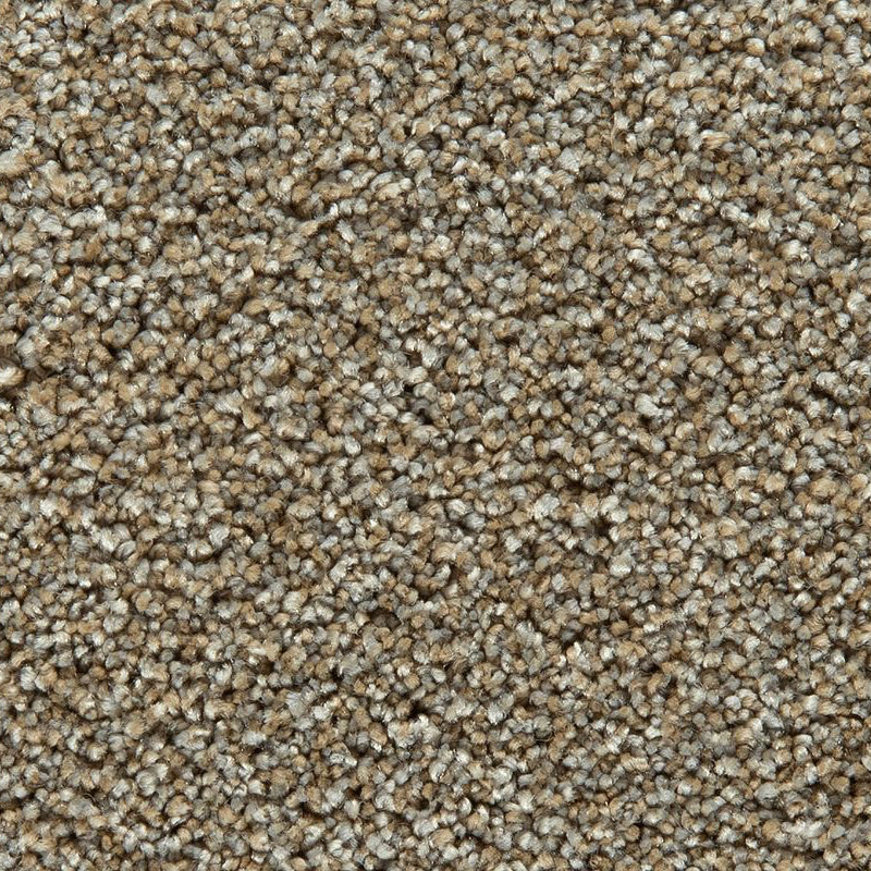 Pet Premier Tonals