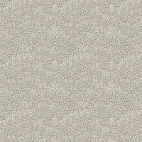 Worldwide Flooring Design Center DESIGNER ELEGANCE DESIGNER ELEGANCE Karastan Floors