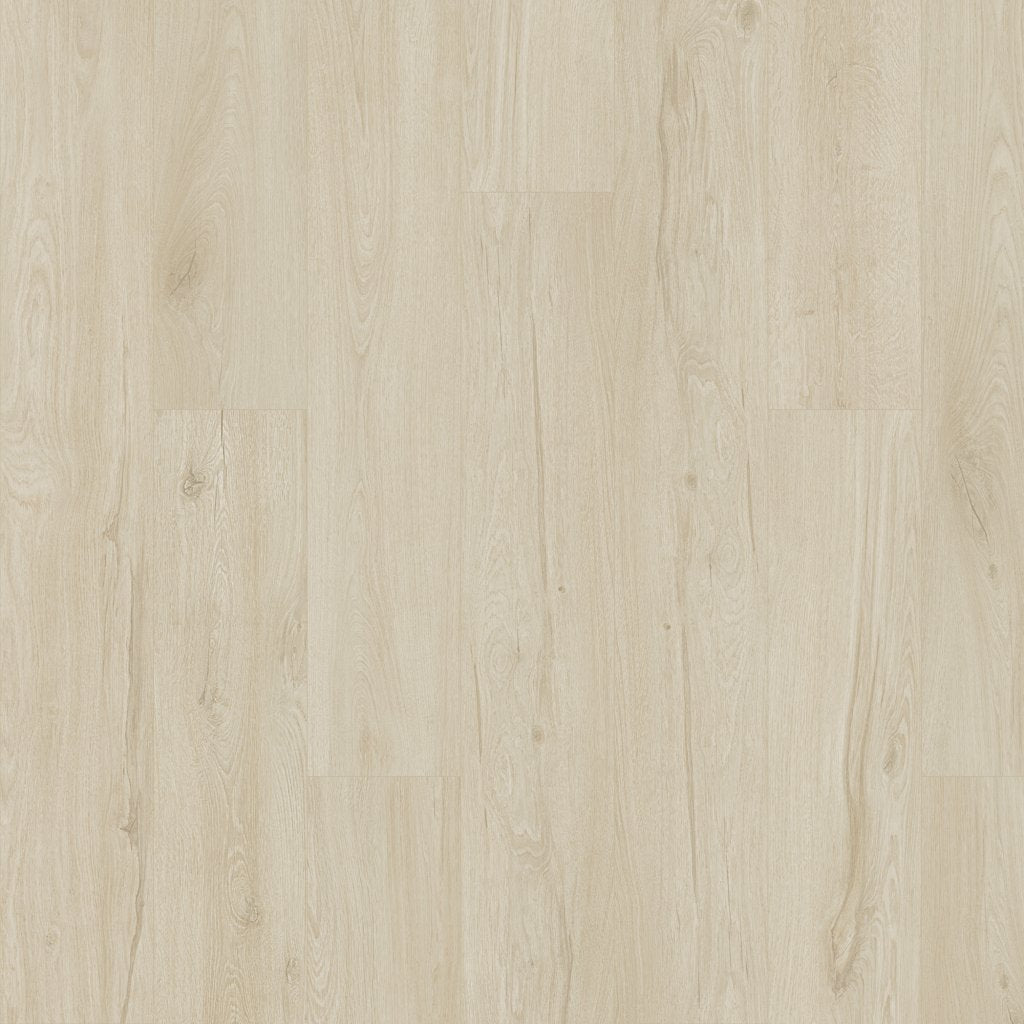 Worldwide Flooring Design Center ARTISAN RESERVE - BRIGHTON ARTISAN RESERVE - BRIGHTON Karastan Floors