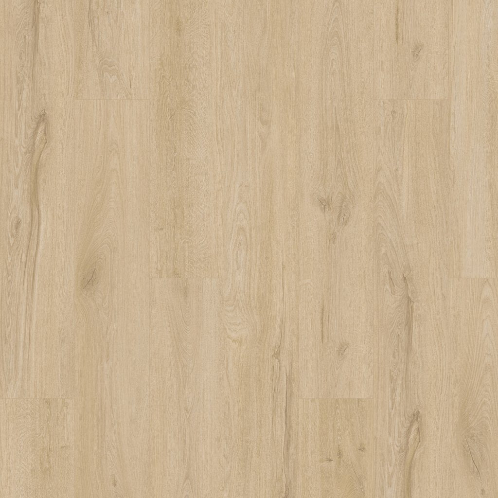 Worldwide Flooring Design Center ARTISAN RESERVE - BELLINI ARTISAN RESERVE - BELLINI Karastan Floors