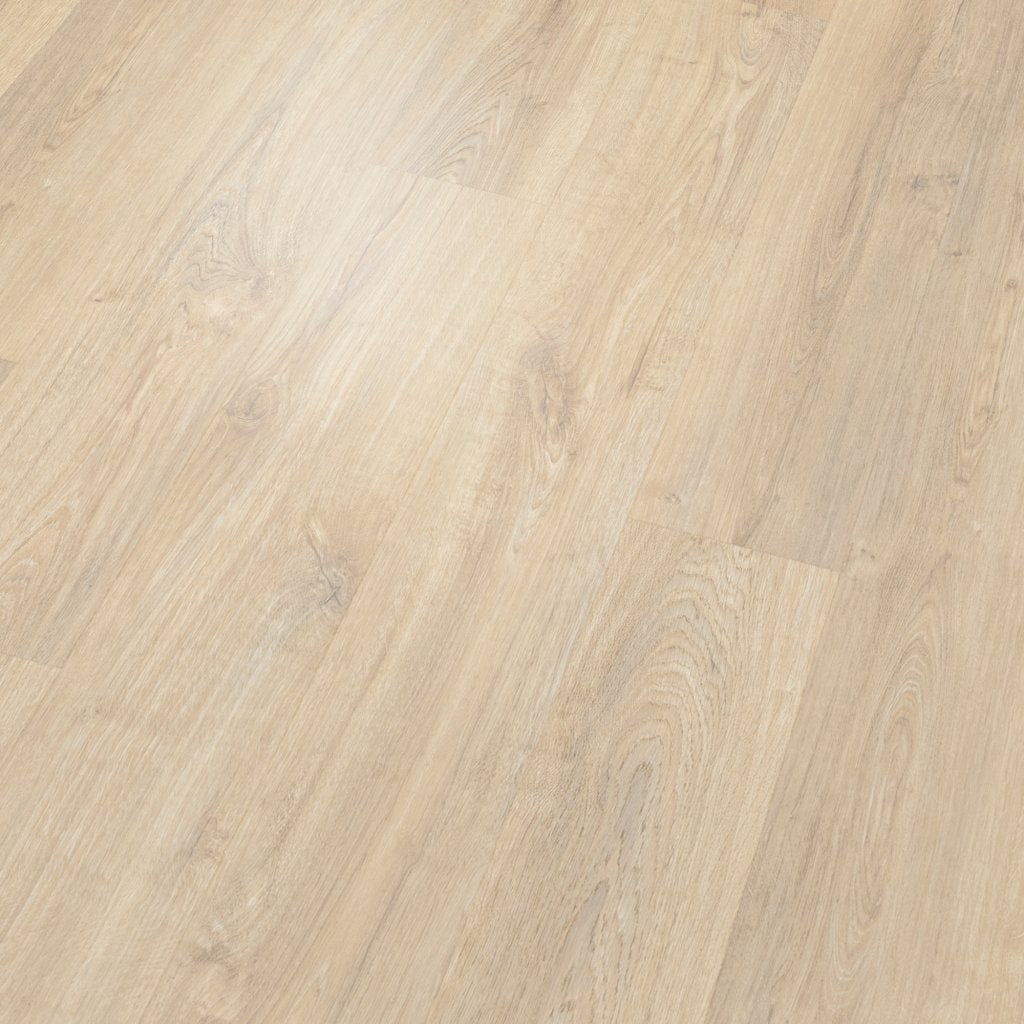 Worldwide Flooring Design Center WILLOW ESTATES - CASHMERE CREAM WILLOW ESTATES - CASHMERE CREAM Karastan Floors