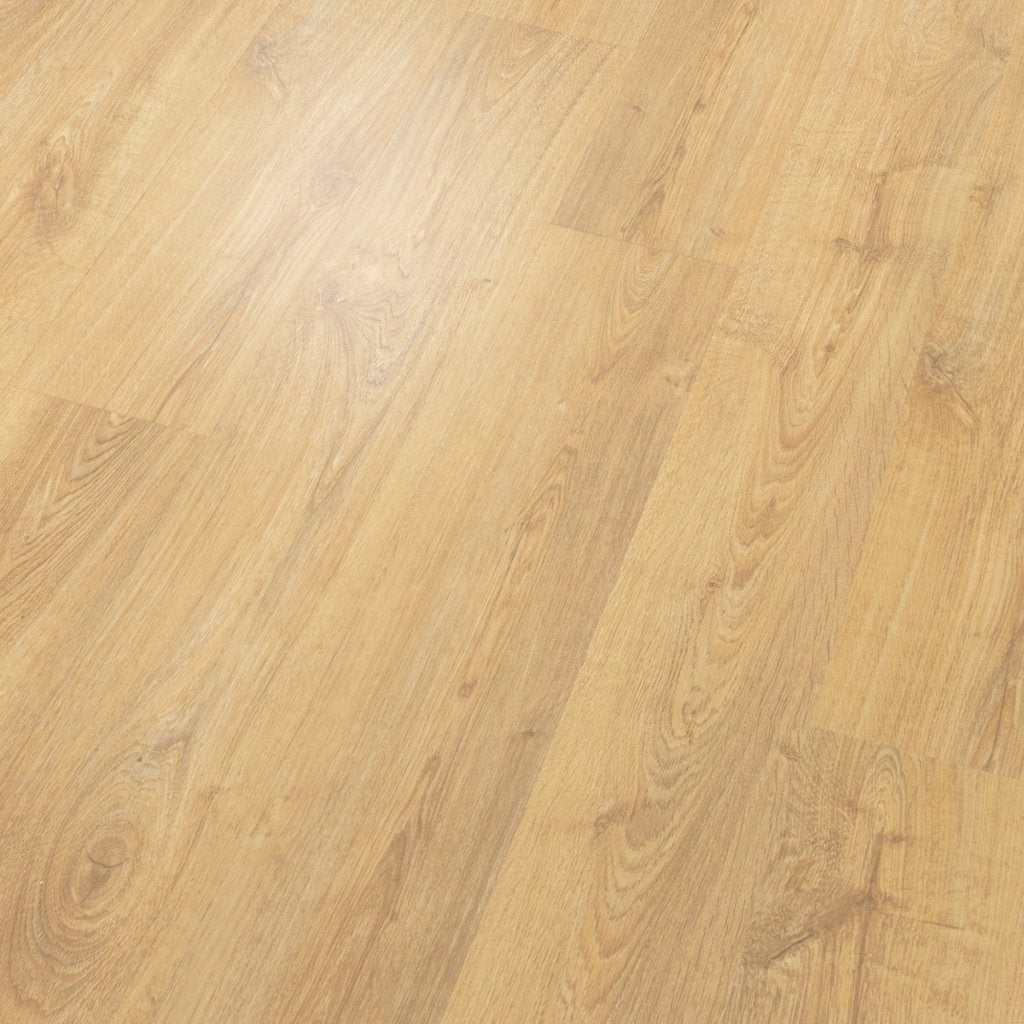 Worldwide Flooring Design Center WILLOW ESTATES - ASTER WILLOW ESTATES - ASTER Karastan Floors