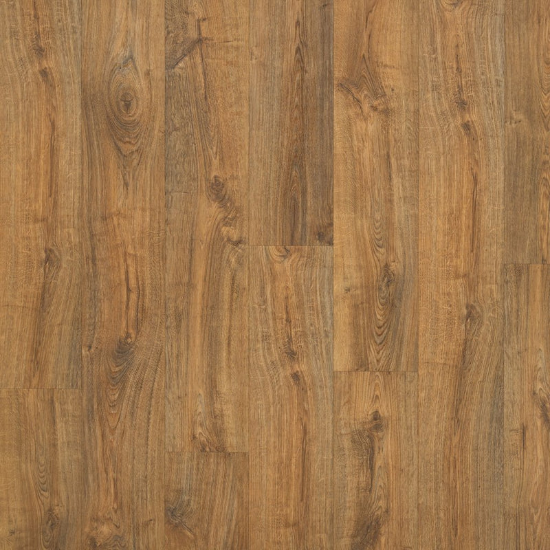 Worldwide Flooring Design Center WILLOW ESTATES - FOXGLOVE WILLOW ESTATES - FOXGLOVE Karastan Floors