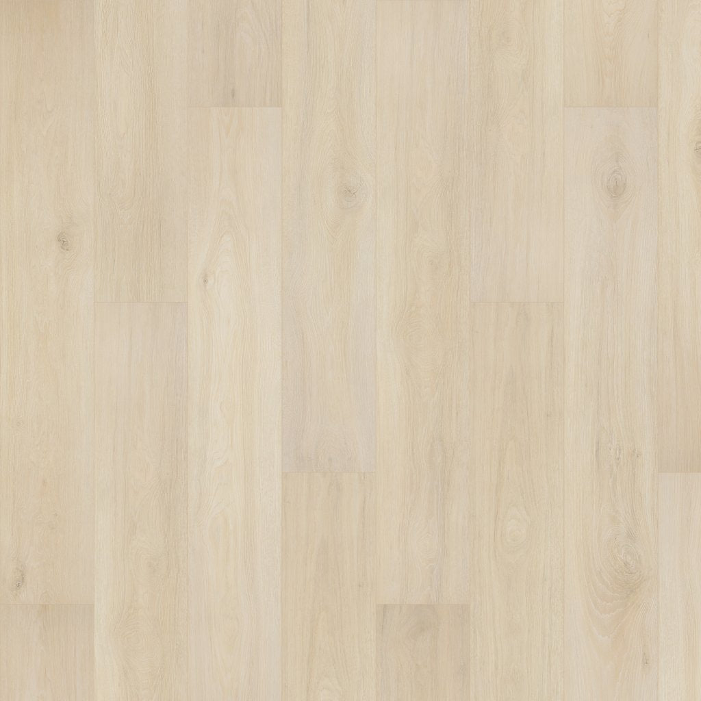 Worldwide Flooring Design Center BELLELUXE - DOVE HICKORY BELLELUXE - DOVE HICKORY Karastan Floors