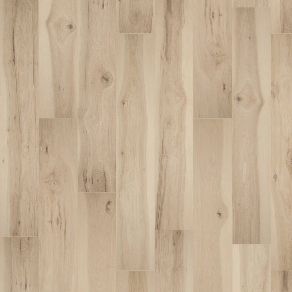 Worldwide Flooring Design Center BELLELUXE - TREE LIGHTS HICKORY BELLELUXE - TREE LIGHTS HICKORY Karastan Floors