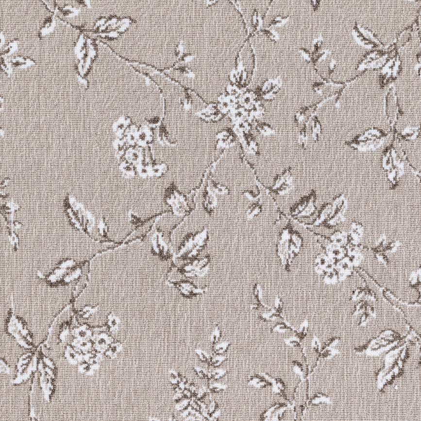 TOILE