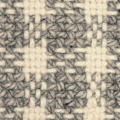 Volute