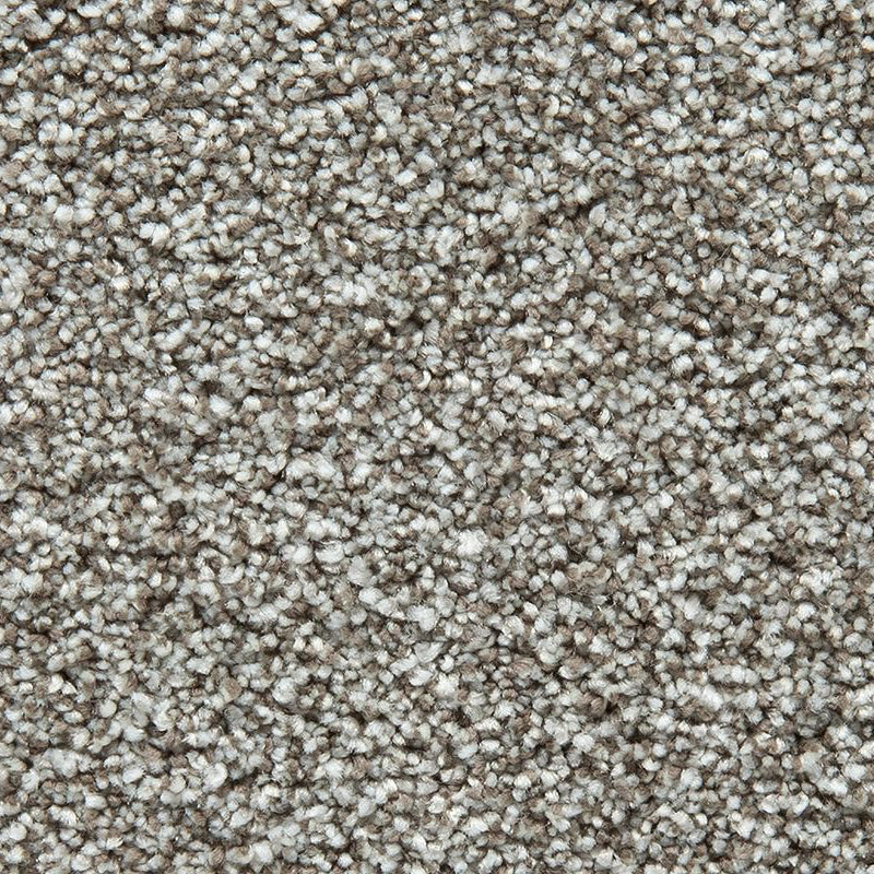 Pet Premier Tweeds
