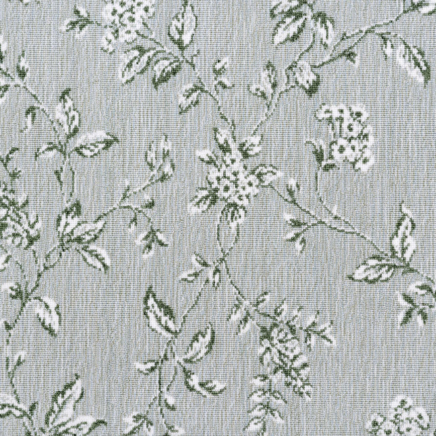 TOILE