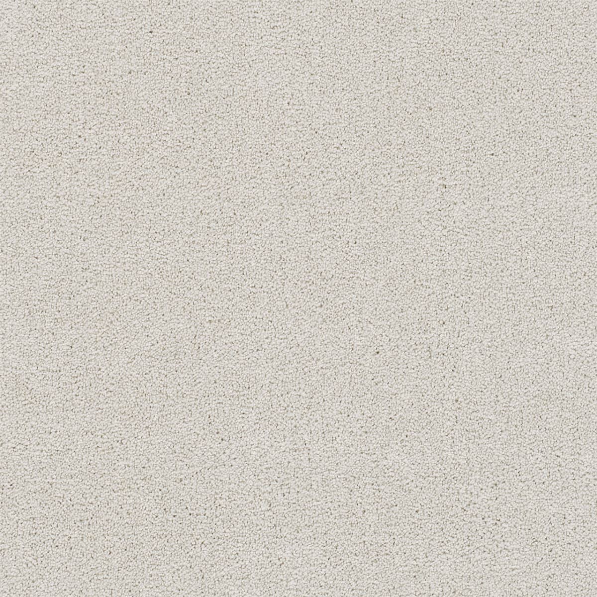 Casual Elegance Solid