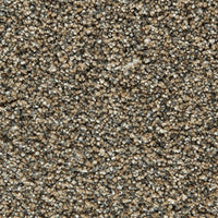 Pet Premier Tweeds