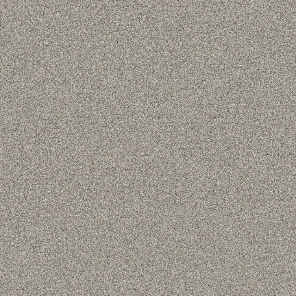 Worldwide Flooring Design Center CATALINA CATALINA Anderson Tuftex Floors