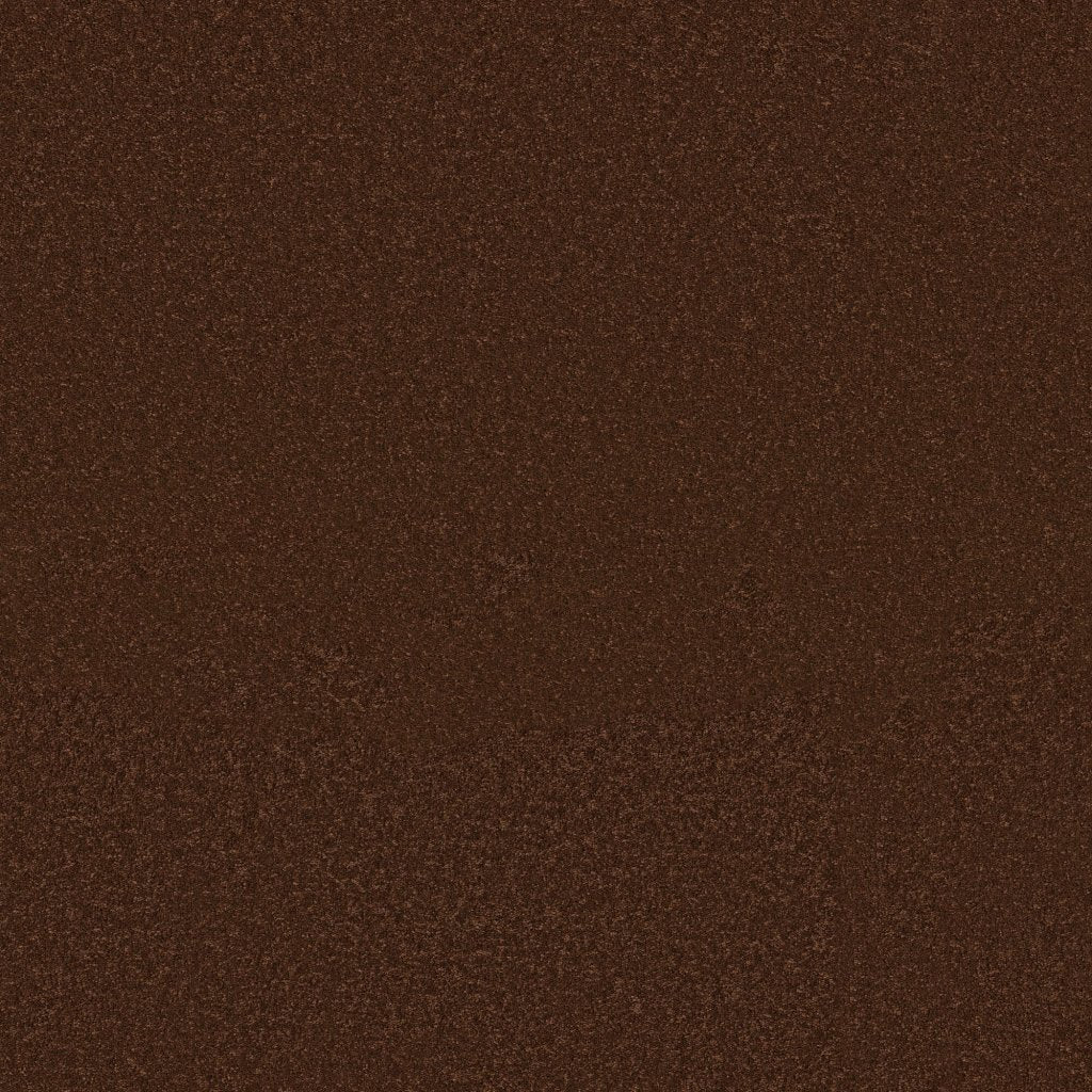 Worldwide Flooring Design Center BEWITCHED BEWITCHED Anderson Tuftex Floors