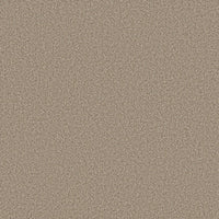 Worldwide Flooring Design Center CATALINA CATALINA Anderson Tuftex Floors