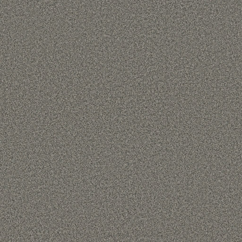 Worldwide Flooring Design Center CATALINA CATALINA Anderson Tuftex Floors