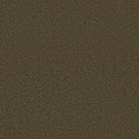 Worldwide Flooring Design Center BEWITCHED BEWITCHED Anderson Tuftex Floors