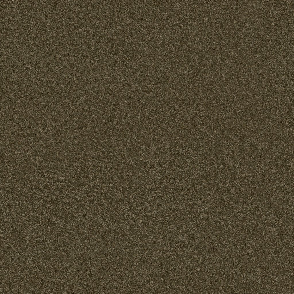 Worldwide Flooring Design Center BEWITCHED BEWITCHED Anderson Tuftex Floors