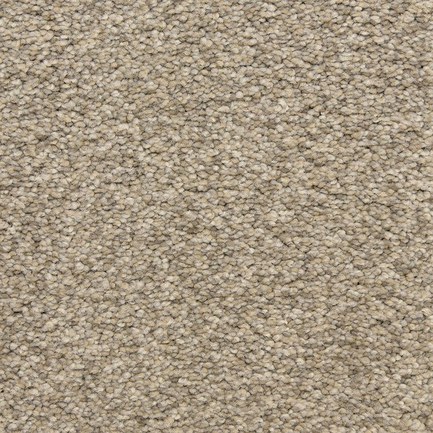 Worldwide Flooring Design Center CIVITAN CIVITAN Masland Floors
