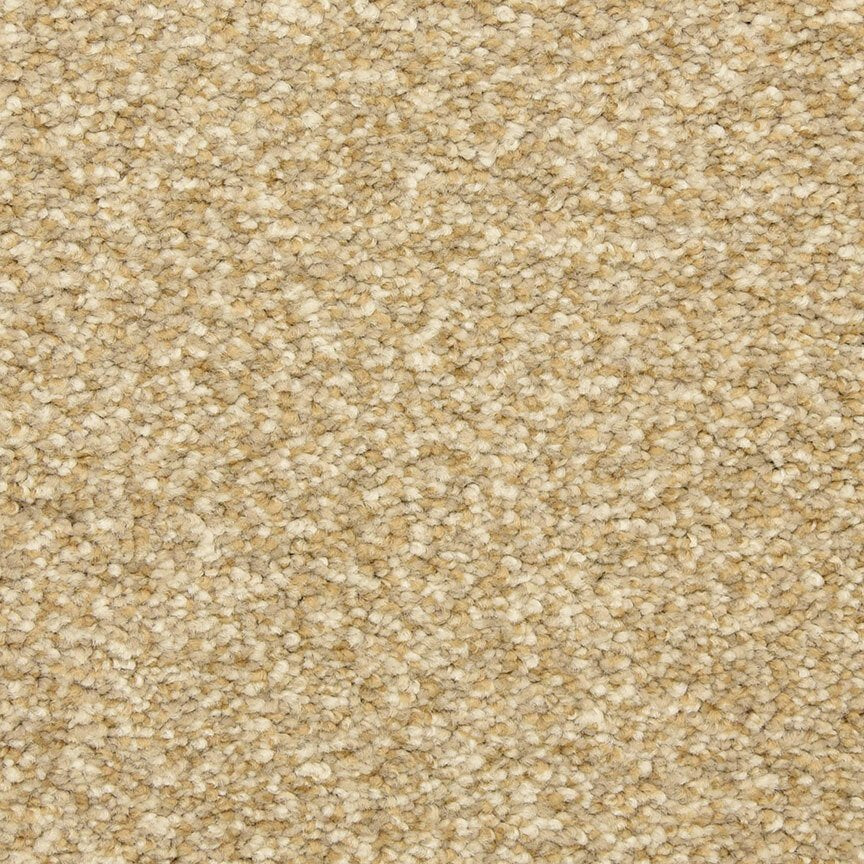 Worldwide Flooring Design Center CIVITAN CIVITAN Masland Floors
