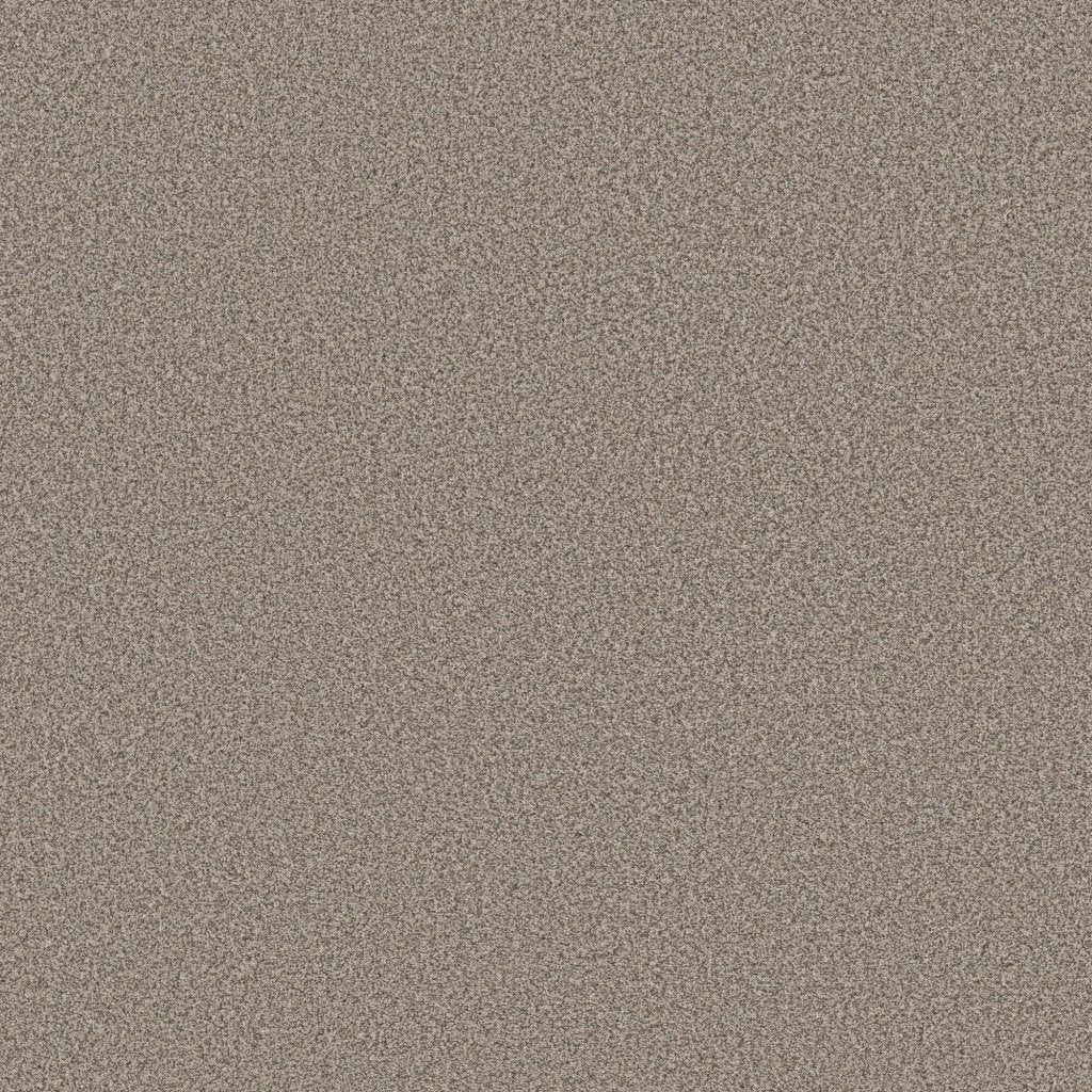 Worldwide Flooring Design Center CATALINA CATALINA Anderson Tuftex Floors