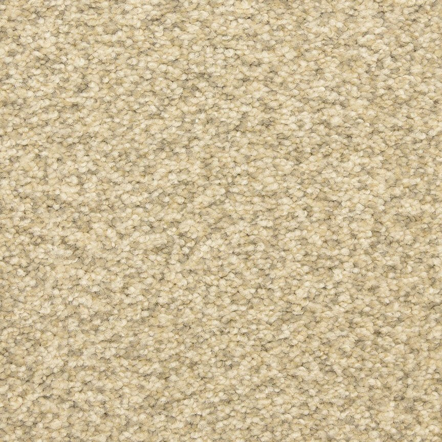 Worldwide Flooring Design Center CIVITAN CIVITAN Masland Floors