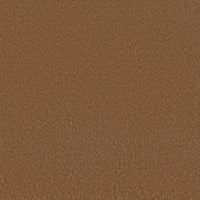 Worldwide Flooring Design Center BEWITCHED BEWITCHED Anderson Tuftex Floors