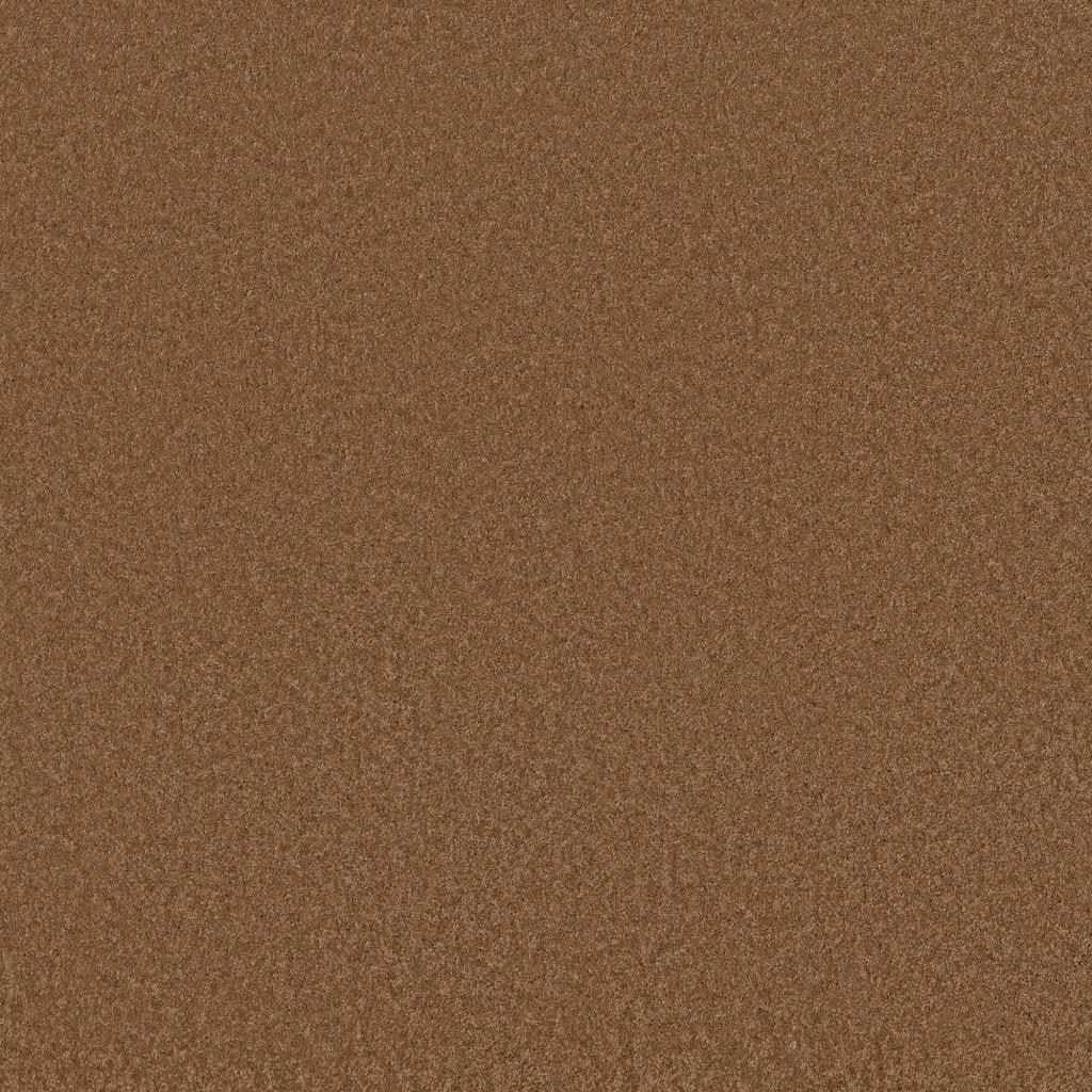 Worldwide Flooring Design Center BEWITCHED BEWITCHED Anderson Tuftex Floors